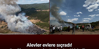 Kocaeli’de orman yangınına havadan ve karadan müdahale: Alevler evlere de sıçradı