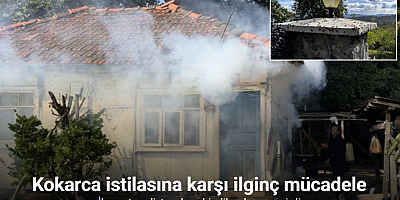 Kokarca istilasına karşı ilginç mücadele: İlaç yetmedi, tavuk ve hindiler devreye girdi
