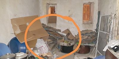 Kömürlükteki kartonların arasından çıktı
