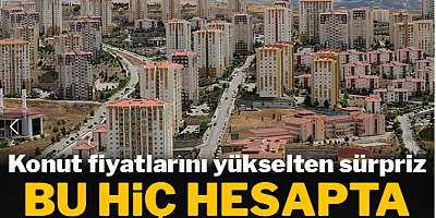 Konut fiyatlarını yükselten sürpriz: Bu hiç hesapta yoktu