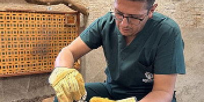 Konya'da rutin kontrolde cebinden piton çıktı