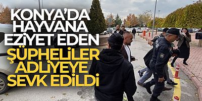 Konya'daki hayvana eziyet eden şüpheliler adliyeye sevk edildi