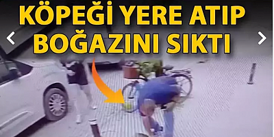 Köpeği yere atıp, boğazını sıktı; o anlar kamerada