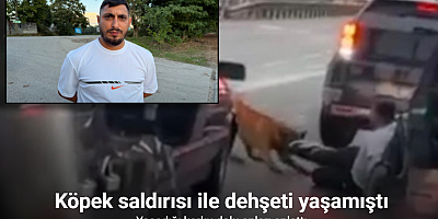 Köpeğin saldırısı ile dehşeti yaşamıştı: O anları anlattı