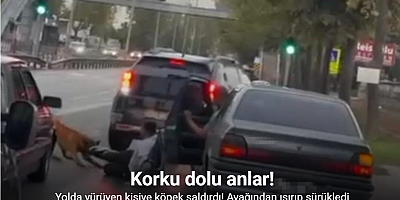 Köpeğin vatandaşı ayağından ısırıp sürüklediği anlar kamerada