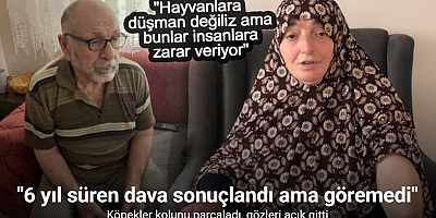 Köpekler kolunu parçaladı, gözleri açık gitti