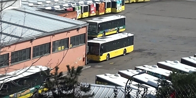 Kör düğüm olan orman arazisi bu nasıl bakanlık bu nasıl kiraya veren bu nasıl  kiracı