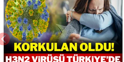Korkulan oldu! H3N2 virüsü Türkiye'de ilk kez görüldü!
