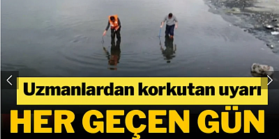 Korkutan uyarı geldi: Her geçen gün küçülüyor...