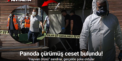 Kötü kokudan şüphelenerek baktıkları reklam panosundan tanınmayacak halde ceset çıktı