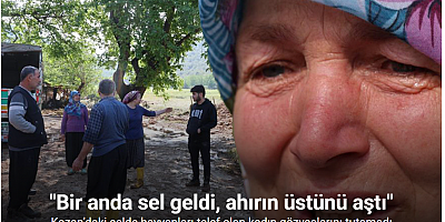 Kozan’daki selde hayvanları telef olan kadın: 