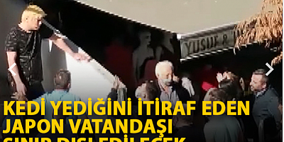 Küçükçekmece'de kedi yediğini itiraf eden Japon vatandaşı sınır dışı edilecek