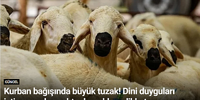 Kurban bağışında büyük tuzak! Dini duyguları istismar eden sahte derneklere dikkat