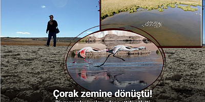Kuşların dans ettiği Uylubağı göleti kuraklık nedeniyle çorak zemine dönüştü