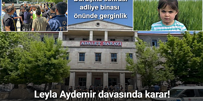 Leyla Aydemir davasında karar: Amcaya müebbet, 6 sanığa beraat