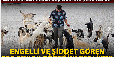 Liseli Berzan, sokak köpeklerine yuva kurdu