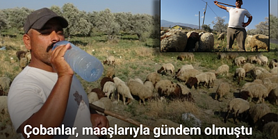Maaşlarıyla gündem olan çobanlar, günde litrelerce su tüketerek kavurucu sıcakta mesaiyi sürdürüyor