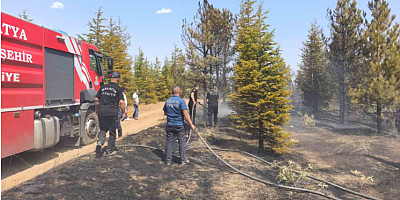 Malatya’daki orman yangını söndürüldü