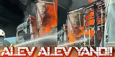 Malatyalı 'Şoför Nebahat' erkeklere taş çıkartıyor