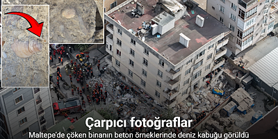 Maltepe’de çöken binanın beton örneklerinde deniz kabuğu görüldü