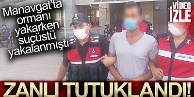 Manavgat'ta ormanı yakarken suçüstü yakalanan zanlı tutuklandı