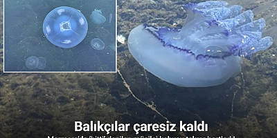 Marmara’da ’bitti’ denilen müsilaj kabusu tekrar hortladı