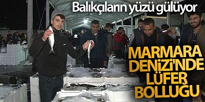 Marmara Denizi'nde lüfer bolluğu balıkçıların yüzünü güldürdü
