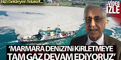 Marmara Denizi'ni bekleyen felaket