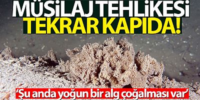 Marmara soğuyamıyor, müsilaj tehlikesi kapıda