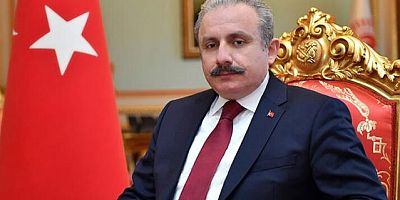 Meclis Başkanı Şentop'tan HDP'ye açılan kapatma davasına ilk yorum: Anayasamızda var