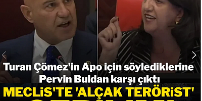 Meclis'te 'Alçak terörist' gerilimi: Turan Çömez'in Apo için söylediklerine Pervin Buldan karşı çıktı