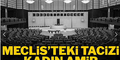 Meclis'teki tacizi kadın amir 'kimseye anlatma' demiş!