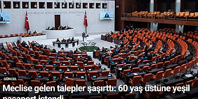 Meclise gelen talepler şaşırttı: 60 yaş üstüne yeşil pasaport istendi