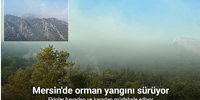 Mersin Anamur’daki orman yangını sürüyor, ekipler havadan ve karadan müdahale ediyor