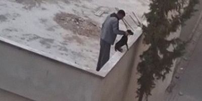 Mersin'de köpeğe kan donduran işkence