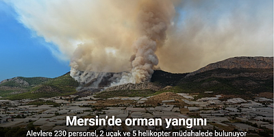 Mersin’de orman yangınına 230 personel, 2 uçak ve 5 helikopterle müdahale