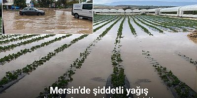 Mersin’de şiddetli yağış: İlçelerde yollar ve tarım alanları su altında kaldı
