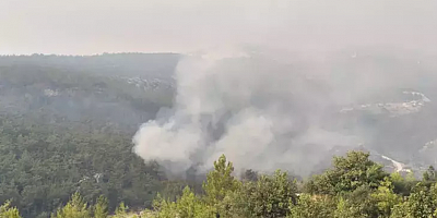 Mersin'in 2 ilçesindeki orman yangınlarına müdahale sürüyor