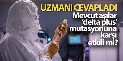 'Mevcut aşılar ‘delta plus' mutasyonuna karşı da etkili'