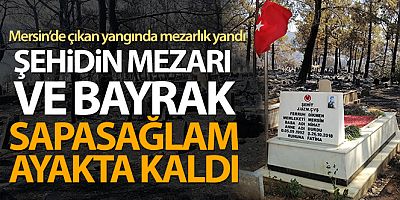Mezarlık yandı, şehidin mezarı ve bayrak sapasağlam ayakta kaldı