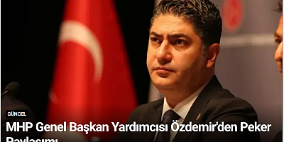 MHP Genel Başkan Yardımcısı Özdemir'den Peker Paylaşımı