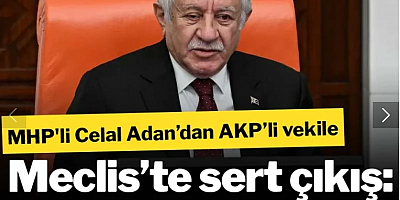 MHP'li Celal Adan’dan AKP’li vekile Meclis’te sert çıkış: Kimi döveceksin, öyle şey olur mu?