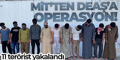 MİT'ten DEAŞ'a operasyon