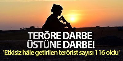 MSB: 'Etkisiz hâle getirilen terörist sayısı 116 oldu'