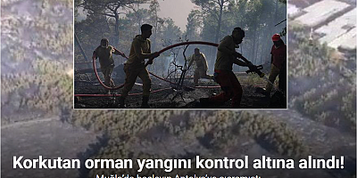 Muğla’da başlayıp Antalya’ya sıçrayan orman yangını kontrol altına alındı