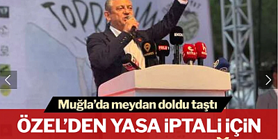 Muğla'da meydan 'zeytinlik talanı'na karşı doldu taştı! Özgür Özel'den yasanın iptali için AYM'ye çağrı