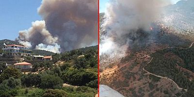 Muğla'da yangın çıktı! Çevre illerden takviye istendi