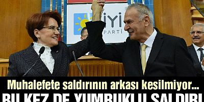 Muhalefete saldırının arkası kesilmiyor… Bu kez de İYİ Partili isim saldırıya uğradı