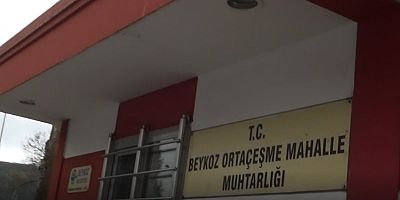 Muhtar   bayrağa sahip çıkamıyor 