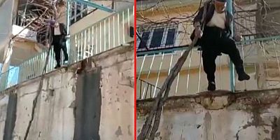 Mustafa Dede, budamak istediği asmada asılı kaldı